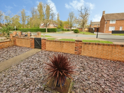 Picture 14